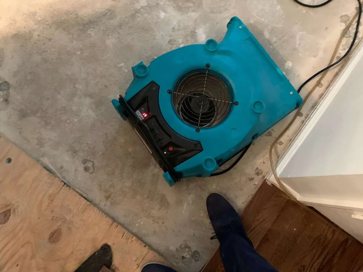 Air mover drying subfloor during Leak Detection & Repair in Hybla Valley